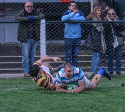 URBA - TOP 12 - 20240810 - SAN ISIDRO CLUB (SIC) - BELGRANO ATHLETIC CLUB