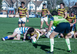 URBA - TOP 12 - 20240810 - SAN ISIDRO CLUB (SIC) - BELGRANO ATHLETIC CLUB