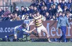 URBA - TOP 12 - 20240810 - SAN ISIDRO CLUB (SIC) - BELGRANO ATHLETIC CLUB