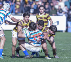 URBA - TOP 12 - 20240810 - SAN ISIDRO CLUB (SIC) - BELGRANO ATHLETIC CLUB