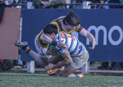 URBA - TOP 12 - 20240810 - SAN ISIDRO CLUB (SIC) - BELGRANO ATHLETIC CLUB