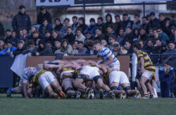 URBA - TOP 12 - 20240810 - SAN ISIDRO CLUB (SIC) - BELGRANO ATHLETIC CLUB