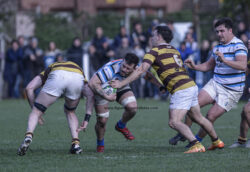 URBA - TOP 12 - 20240810 - SAN ISIDRO CLUB (SIC) - BELGRANO ATHLETIC CLUB