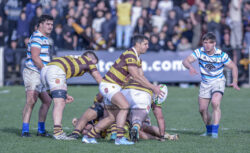 URBA - TOP 12 - 20240810 - SAN ISIDRO CLUB (SIC) - BELGRANO ATHLETIC CLUB