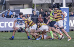 URBA - TOP 12 - 20240810 - SAN ISIDRO CLUB (SIC) - BELGRANO ATHLETIC CLUB