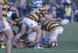 URBA - TOP 12 - 20240810 - SAN ISIDRO CLUB (SIC) - BELGRANO ATHLETIC CLUB