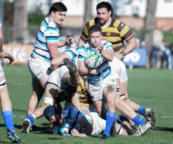URBA - TOP 12 - 20240810 - SAN ISIDRO CLUB (SIC) - BELGRANO ATHLETIC CLUB