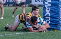 URBA - TOP 12 - 20240810 - SAN ISIDRO CLUB (SIC) - BELGRANO ATHLETIC CLUB